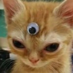 StinkySockUwU