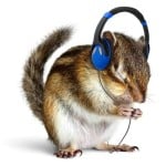 ptsdradio