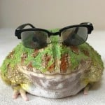 Tatistatguy