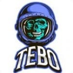 TEBOsinglez