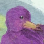 ThanosQuack