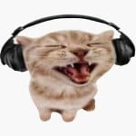 The_Listener