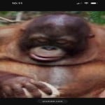 TheAntiSlop
