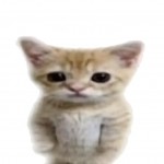 TheGift