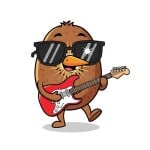 themusicalkiwi