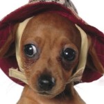 thugteardrop