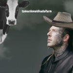 tmhadanaoty