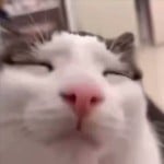 Toge_