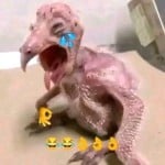 Totermcrotter