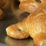 turtulbread
