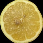 tutufruttis