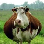 inseminador3000