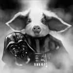 vaderspetpig