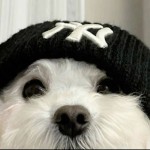 vrax