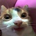 watermeloochie