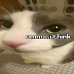Wegly
