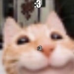 wexlu