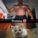 wheyprotein
