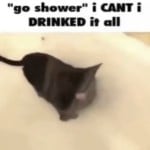 willoww