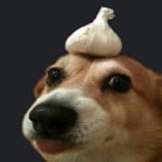 Winston69