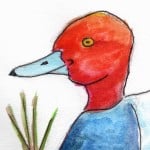 Woodenducks321