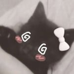 xoomies