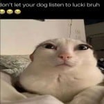 yibyab