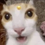 yoitsjo