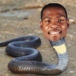 yungbaroldczi