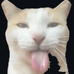 Zanax