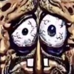 ZeBornito