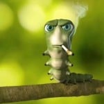 ZenRevival