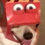 zillazorra